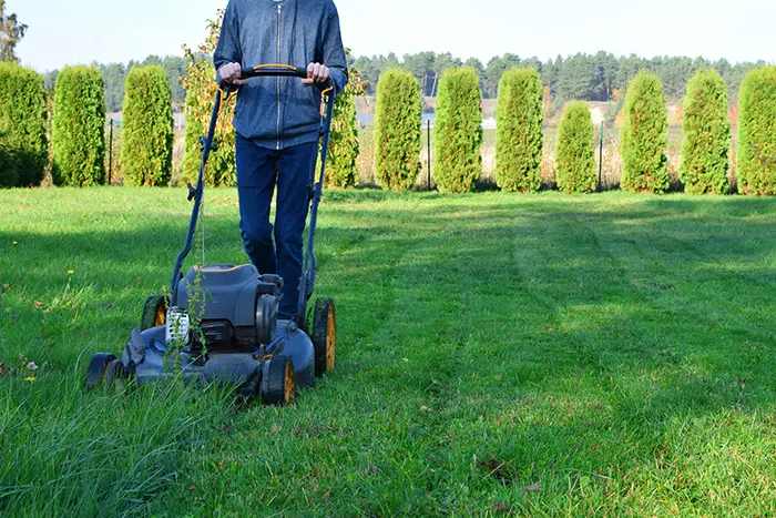 Landscaping Company in Norwalk, CT