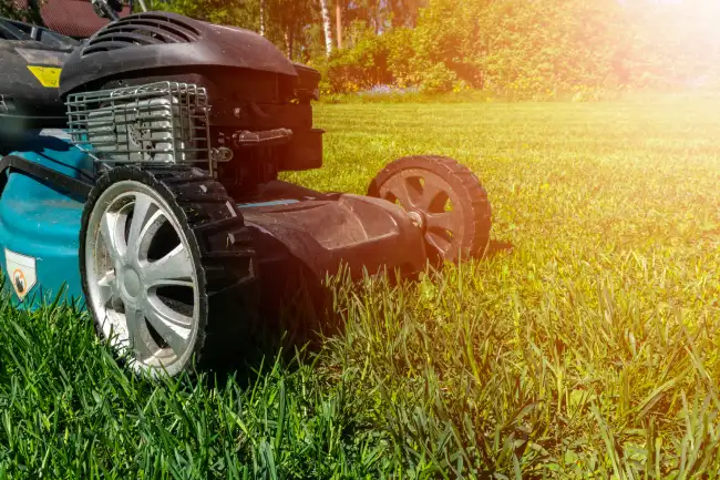 Lawn Mowing in Norwalk, CT