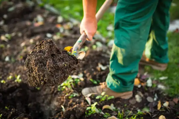 Mulching in Norwalk, CT