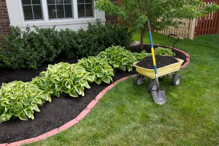 Mulching in Norwalk, CT