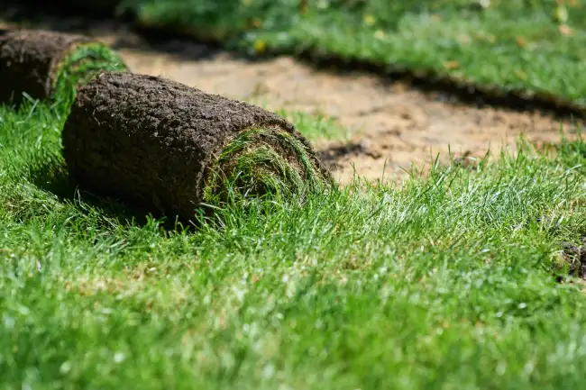 Sod Installation in Norwalk, CT