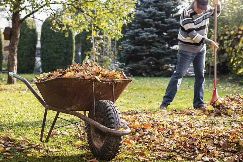 Yard cleanup in Norwalk, CT